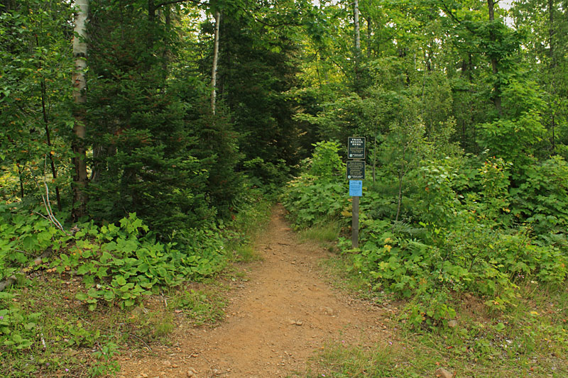 the start of the bare bluff trail